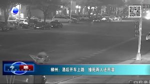 酒后開車上路 撞死兩人還開溜