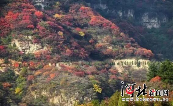 駝梁、大海陀自然保護區(qū)建設(shè)項目獲準立項
