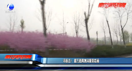 尋春去！廊萬(wàn)路兩側(cè)風(fēng)景美如畫