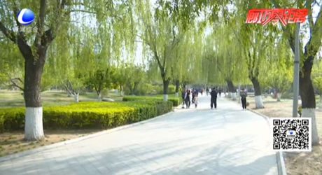 純色滿(mǎn)園關(guān)不住 我市開(kāi)啟賞花踏青模式
