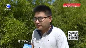 沉迷手機(jī)的孩子 內(nèi)心快樂(lè)嗎？