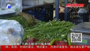 雨后綠葉菜價格暴漲 蔬菜總體均價上漲30%