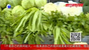 天氣晴好 蔬菜 雞蛋價(jià)格回落