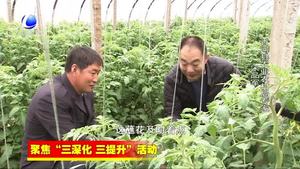 香河縣農業(yè)氣象專家聯盟為農業(yè)增產 農民增收提供支撐