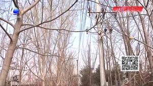 廊坊電力營(yíng)銷部提示您：沒(méi)藥違規(guī)種樹(shù)