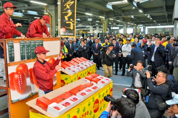 天價！日本宮崎縣芒果“太陽之子”2個賣出50萬日元（圖片來源：朝日新聞網(wǎng)站）