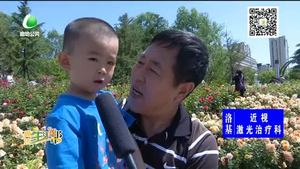 喜迎5·18 月季花開(kāi)香滿城