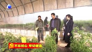 香河縣開(kāi)展農(nóng)技服務(wù)促進(jìn)農(nóng)業(yè)增效