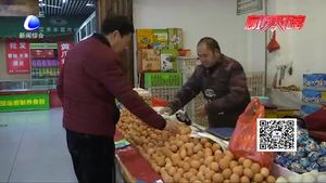 雞蛋價(jià)格持續(xù)回落 價(jià)格回穩(wěn)趨于“蛋定”