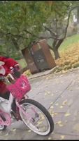 小孩騎自行車(chē)