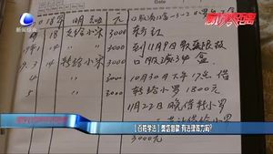 【百姓學(xué)法】微信借款 有法律效力嗎？