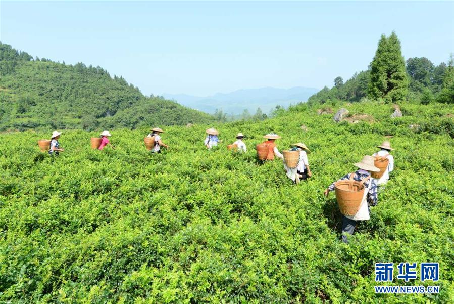 （在習近平新時代中國特色社會主義思想指引下——新時代新作為新篇章·總書記關切脫貧事·決勝貧困·圖文互動）（8）易地扶貧搬遷：助力“跨越式”奔小康