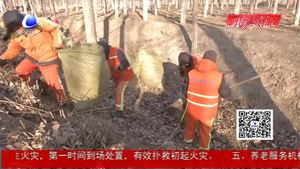 環(huán)衛(wèi)徹底清掃國省縣道兩側秋冬季雜草落葉 提高環(huán)境質(zhì)量