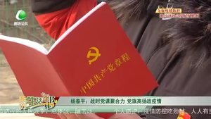 楊春平：戰(zhàn)時黨課聚合力 黨旗高揚(yáng)戰(zhàn)疫情