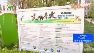 創(chuàng)城，我們一起：專項整治在行動 引導市民依法文明養(yǎng)犬