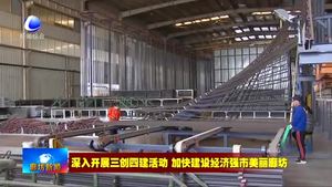 國網(wǎng)大廠縣供電公司：服務“不打烊” 惠企“零距離”