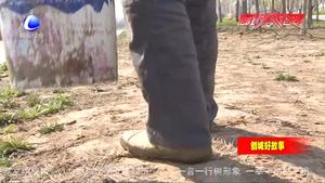 路貴?。河媚_步丈量土地 用汗水守護(hù)碧水