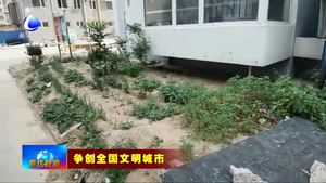 我市部分小區(qū)創(chuàng)建點(diǎn)位問題亟待整改
