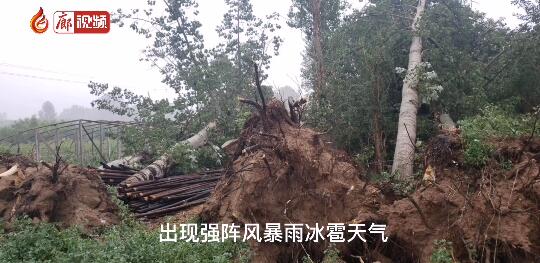 廊視頻 | 強風急雨后的韓村