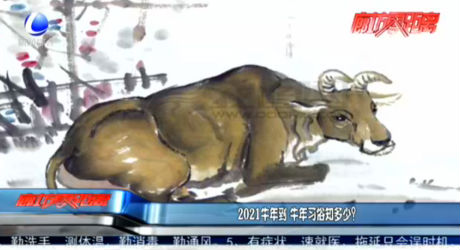2021牛年到 牛年習(xí)俗知多少？