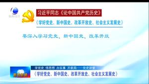 《學好黨史、新中國史、改革開放史、社會主義發(fā)展史》