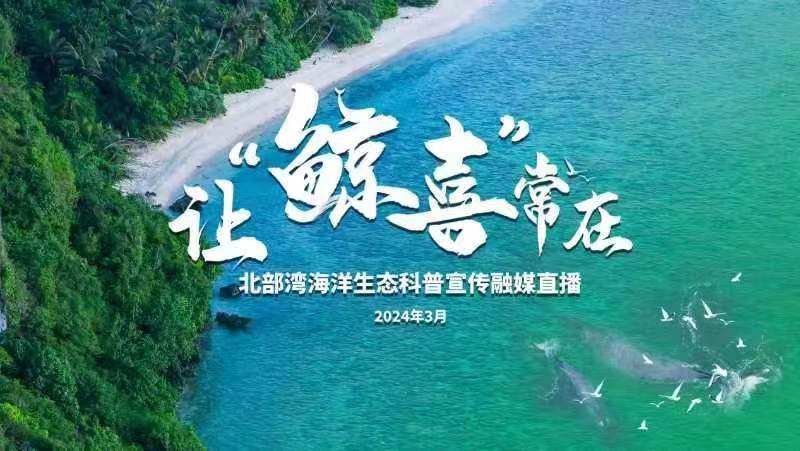 讓“鯨喜”常在——北部灣海洋生態(tài)科普宣傳融媒直播直播