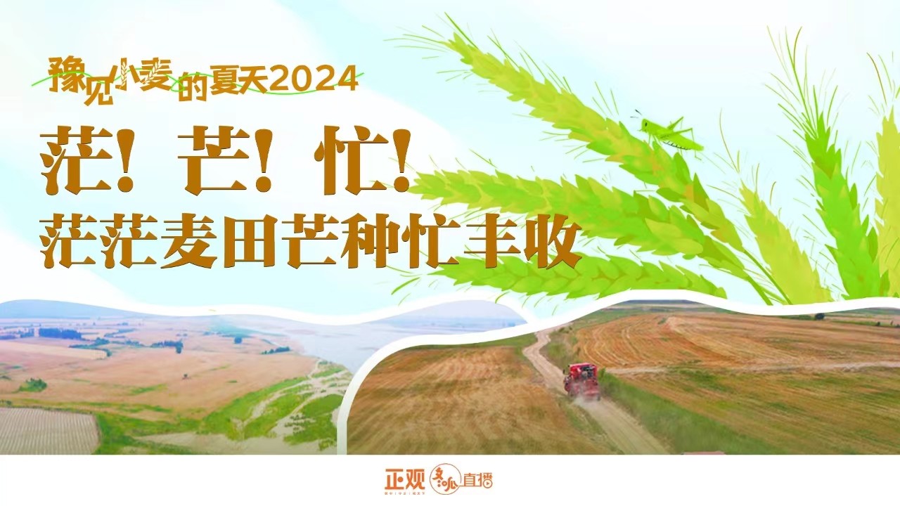 豫見小麥的夏天2024 | 茫！芒！忙！茫茫麥田芒種忙豐收！